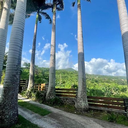 Grande Villa Au Calme - Vue Exceptionnelle - Climatisation - Piscine Sel Chauffee - Jardin Tropical Vincendo Экстерьер фото