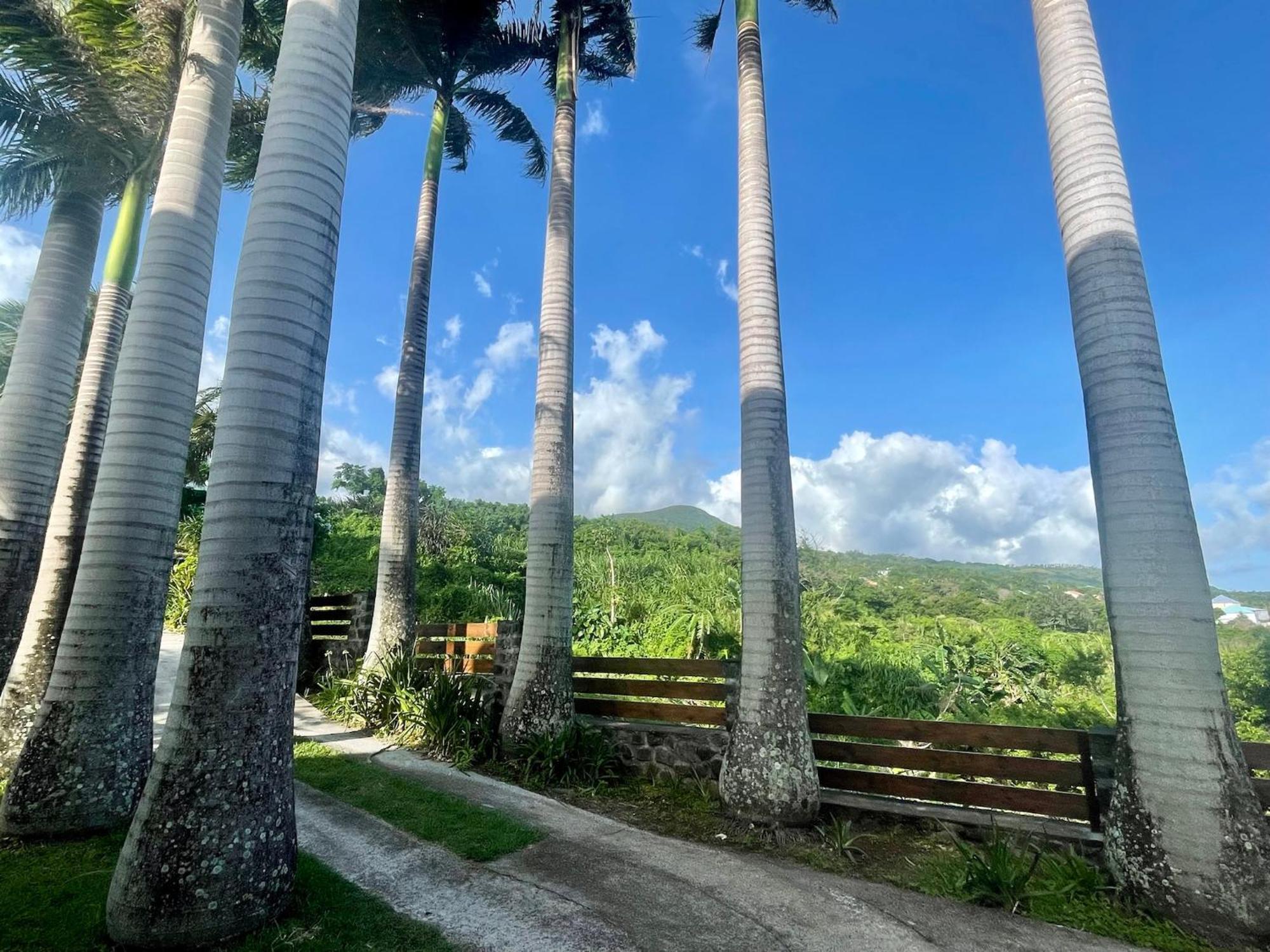 Grande Villa Au Calme - Vue Exceptionnelle - Climatisation - Piscine Sel Chauffee - Jardin Tropical Vincendo Экстерьер фото